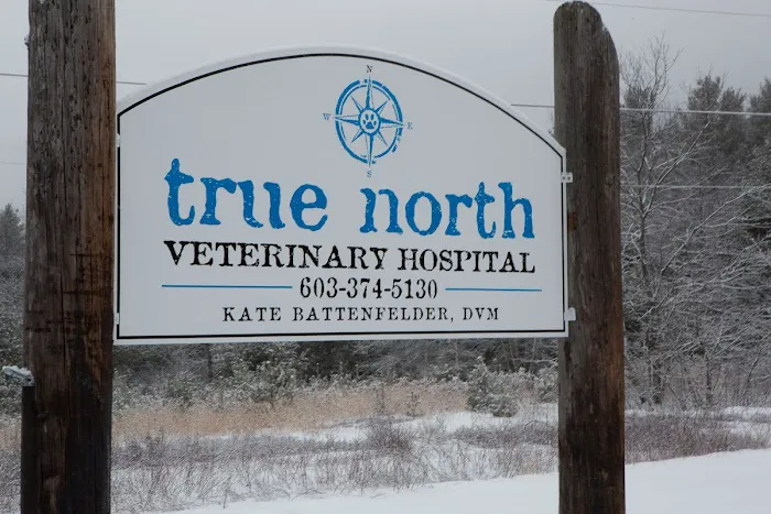 True North Veterinary Hospital Picture 4