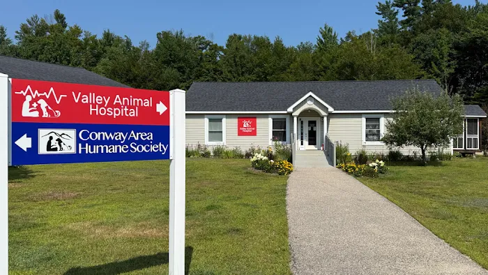 Valley Animal Hospital Conway, NH Picture 3