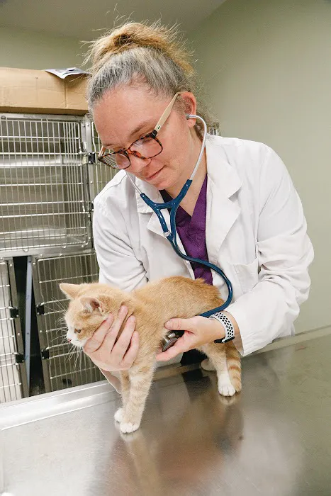 Valley Animal Hospital Conway, NH Picture 7