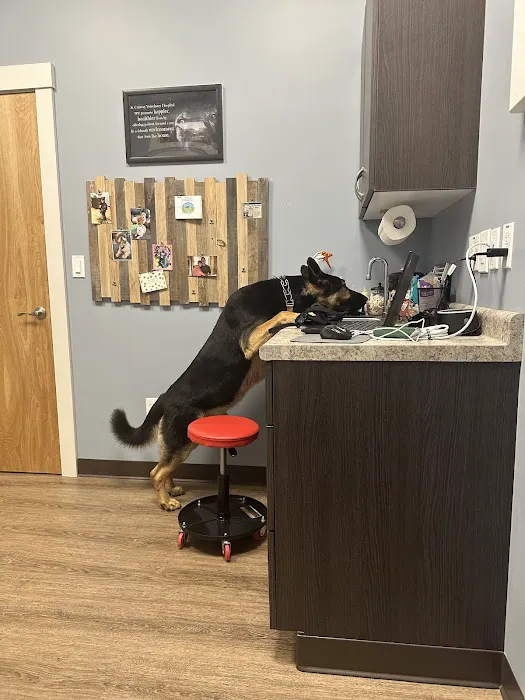 Conway Veterinary Hospital Picture 7