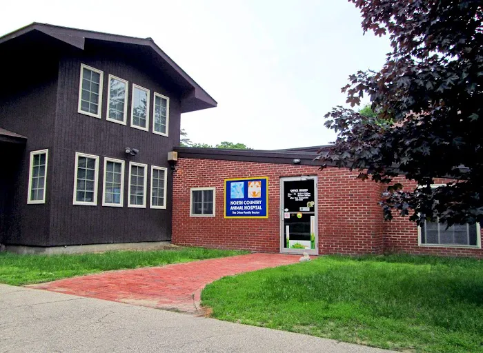 North Country Animal Hospital Picture 3
