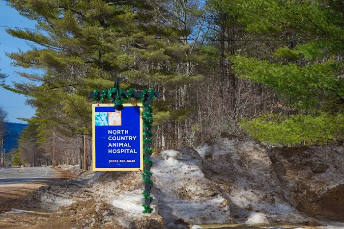 North Country Animal Hospital Picture 2