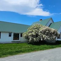 Newbury Veterinary Clinic ico
