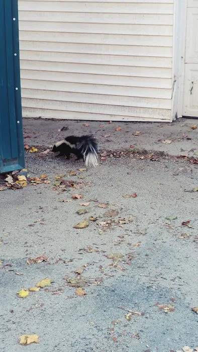 Littleton Area Veterinary Urgent Care Picture 6