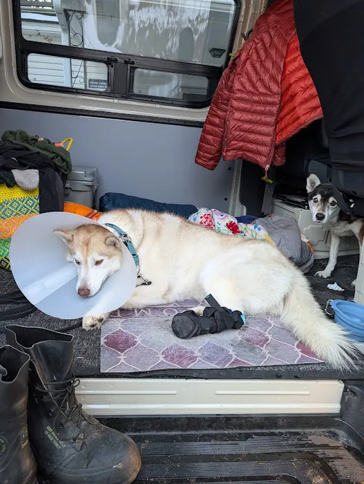 Littleton Area Veterinary Urgent Care Picture 9