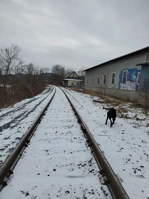 Oxbow Veterinary Clinic Picture 7