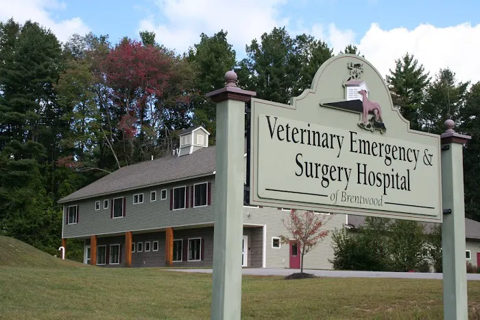 Veterinary Emergency & Surgery Hospital Picture 2
