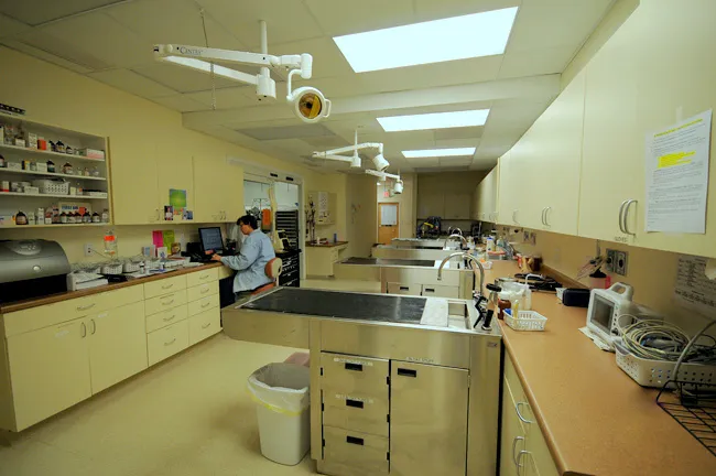 Veterinary Emergency & Surgery Hospital Picture 1