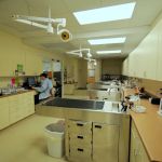 Veterinary Emergency & Surgery Hospital