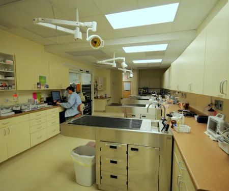 Veterinary Emergency & Surgery Hospital