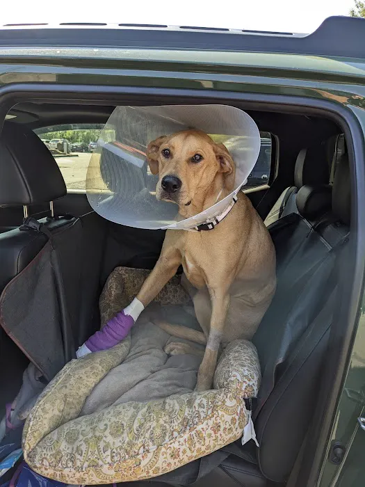 Veterinary Emergency & Surgery Hospital Picture 5