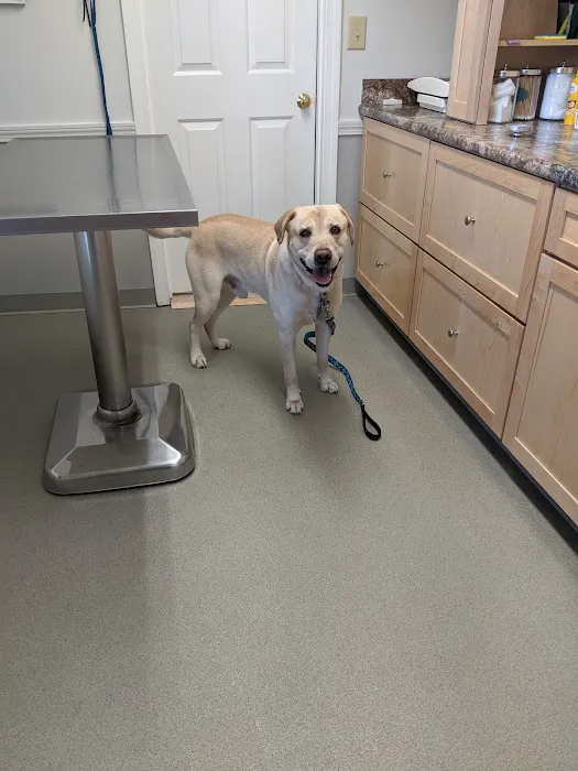 Brentwood Country Animal Hospital, PLLC Picture 4