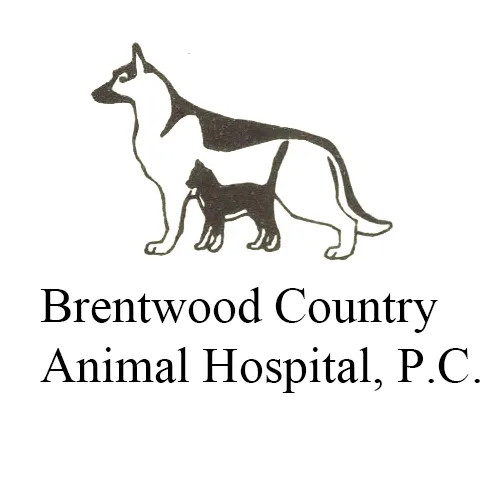 Brentwood Country Animal Hospital, PLLC Picture 8