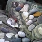 Catherine Lawton, DVM