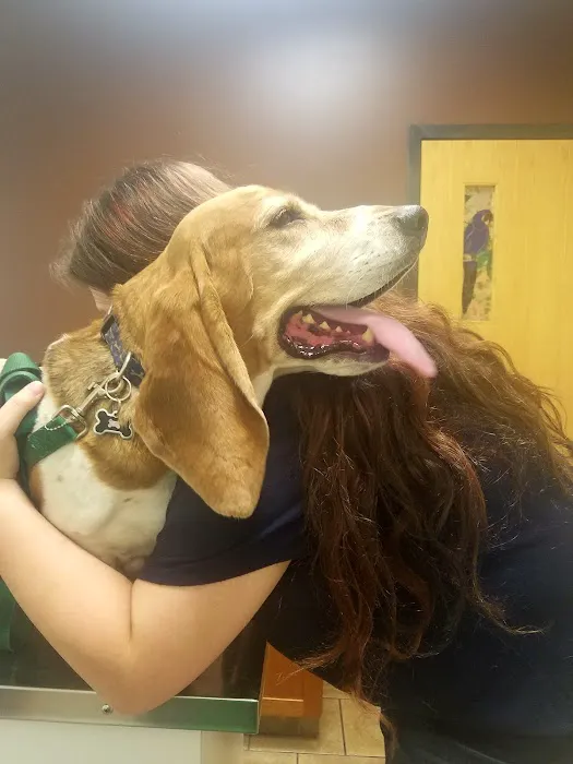 Plaistow-Kingston Animal Medical Center Picture 3