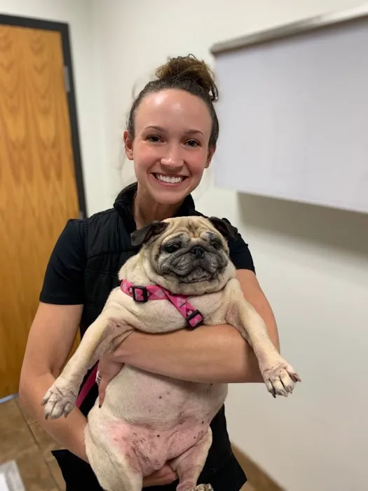 Plaistow-Kingston Animal Medical Center Picture 6