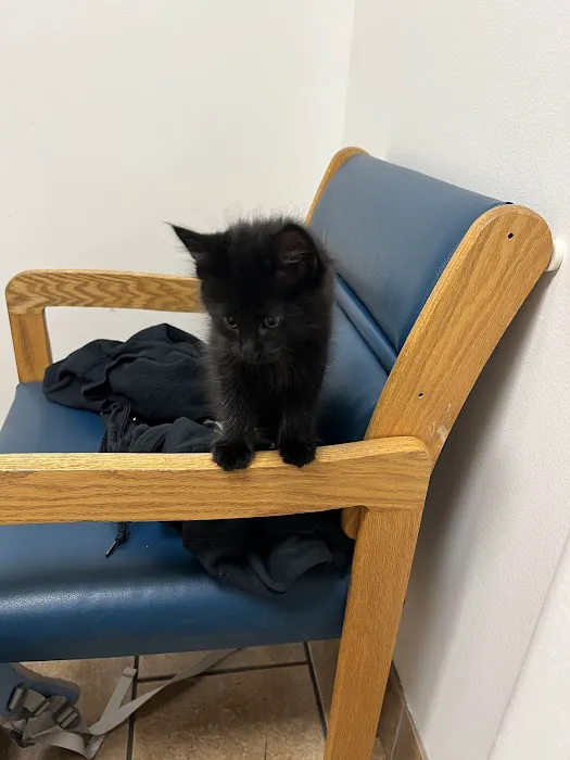 Plaistow-Kingston Animal Medical Center Picture 8
