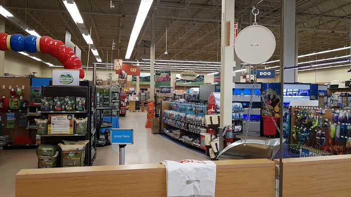 Petco Picture 2