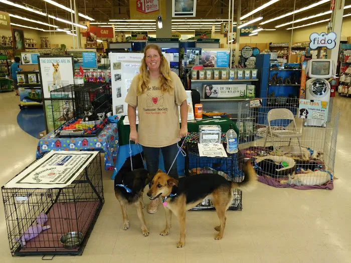 Petco Picture 9