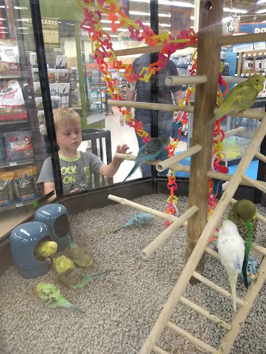 Petco Picture 4