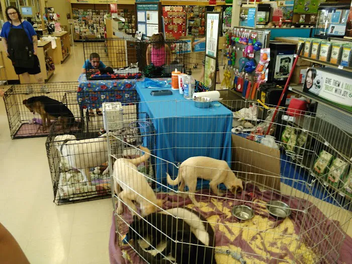 Petco Picture 10