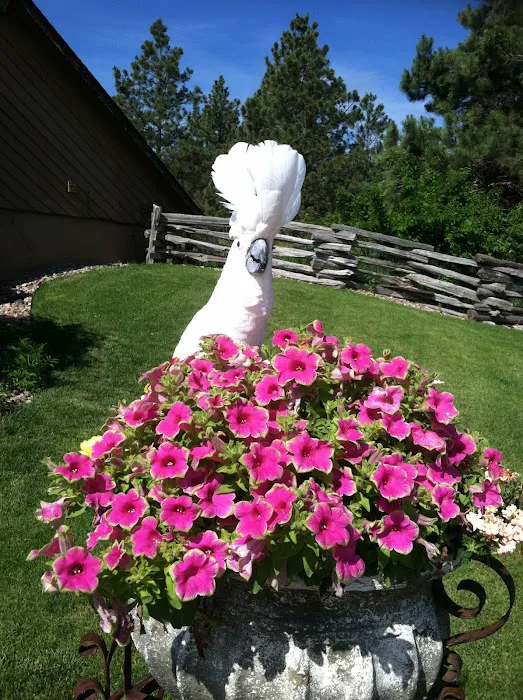 Mt Rushmore Birds/Paws Pet Bakery Picture 3
