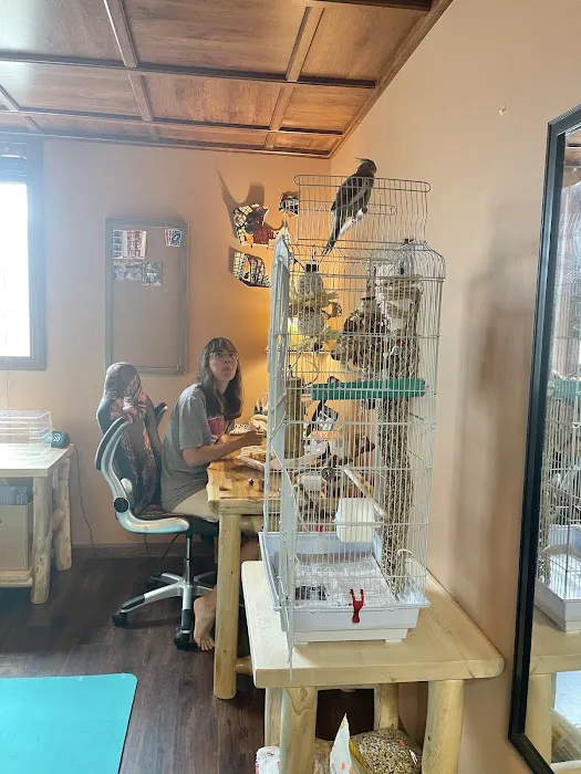 Mt Rushmore Birds/Paws Pet Bakery Picture 4