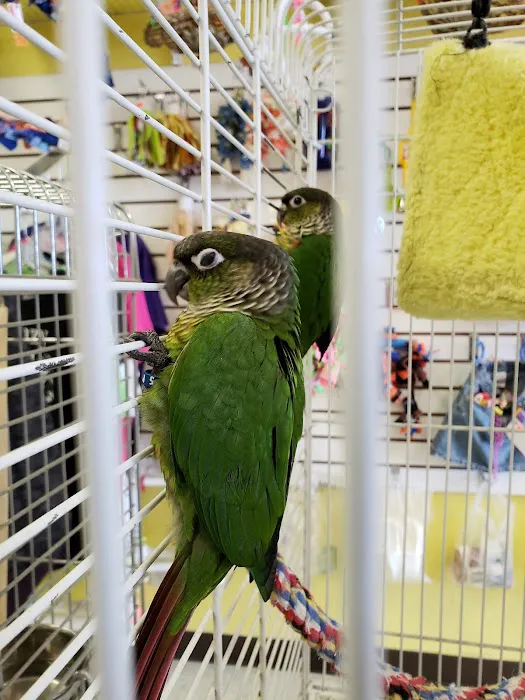 Mt Rushmore Birds/Paws Pet Bakery Picture 10
