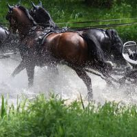 Bobbin Mill Veterinary Services ico