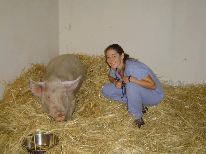 Bobbin Mill Veterinary Services Picture 10