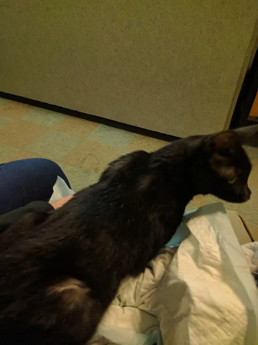 Valley Animal Hospital Picture 6