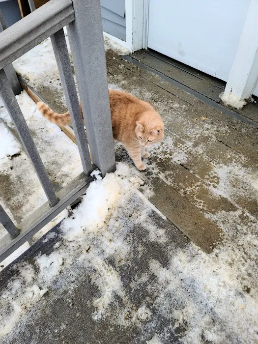 Valley Animal Hospital Picture 1