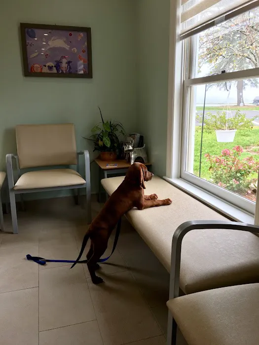 Onion River Animal Hospital Picture 2