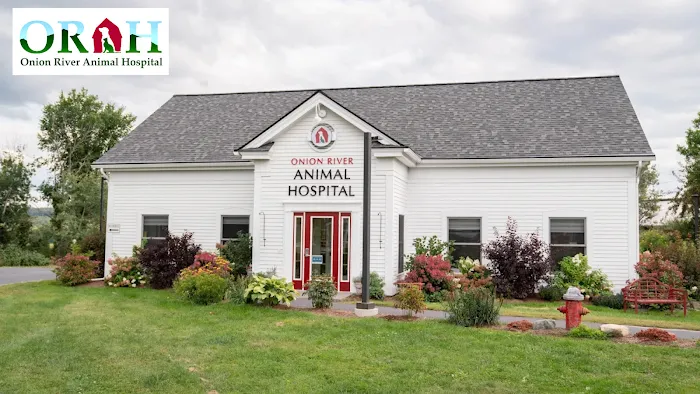 Onion River Animal Hospital Picture 3