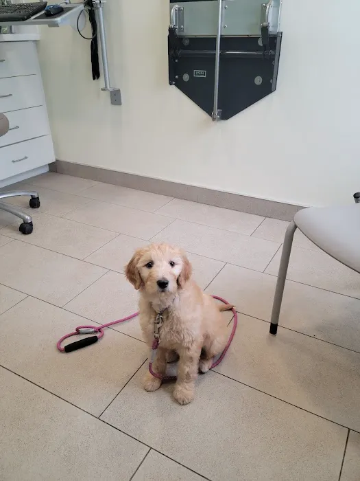Onion River Animal Hospital Picture 9