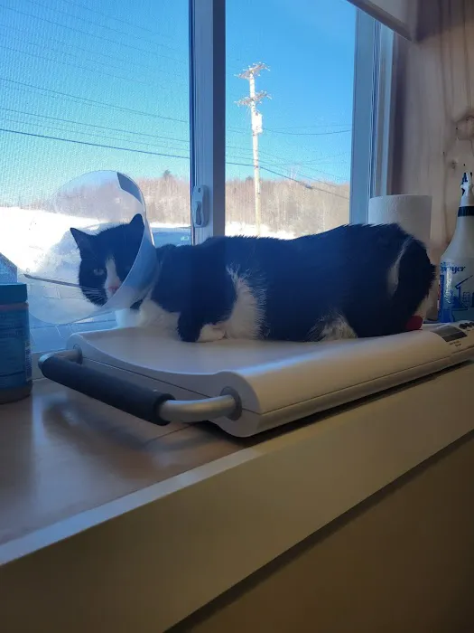 Montpelier Veterinary Hospital Picture 8