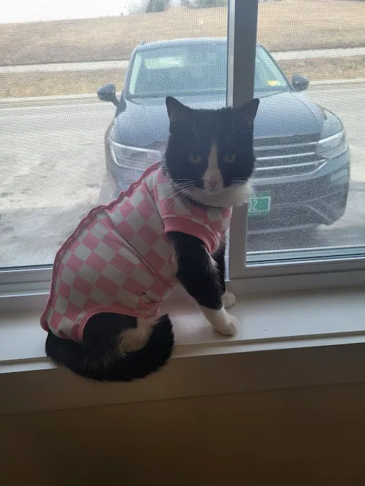 Montpelier Veterinary Hospital Picture 9