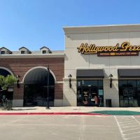 Hollywood Feed ico