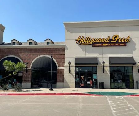 Hollywood Feed