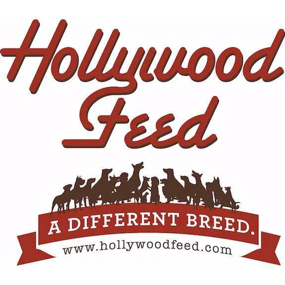 Hollywood Feed Picture 6