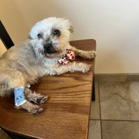 Bristol Animal Hospital ico