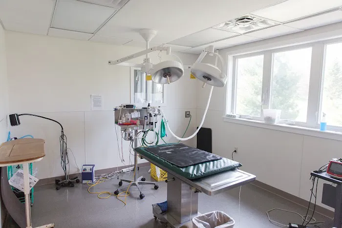 Bristol Animal Hospital Picture 6