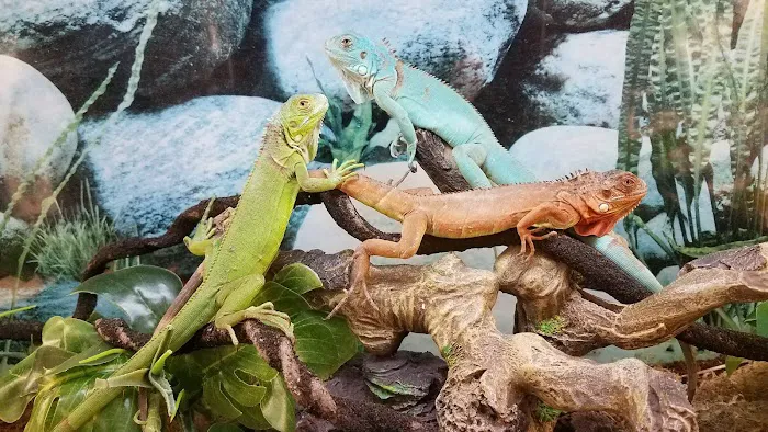 Petco Picture 4