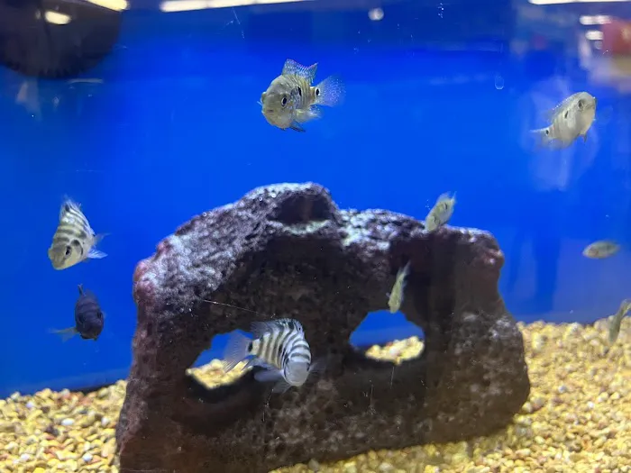 Petco Picture 6