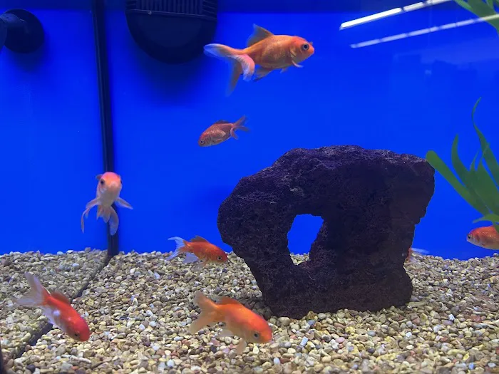 Petco Picture 9