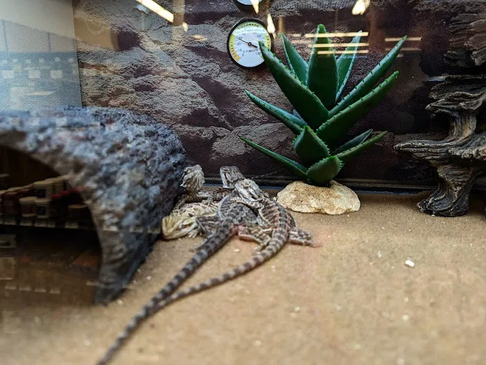 Petco Picture 7