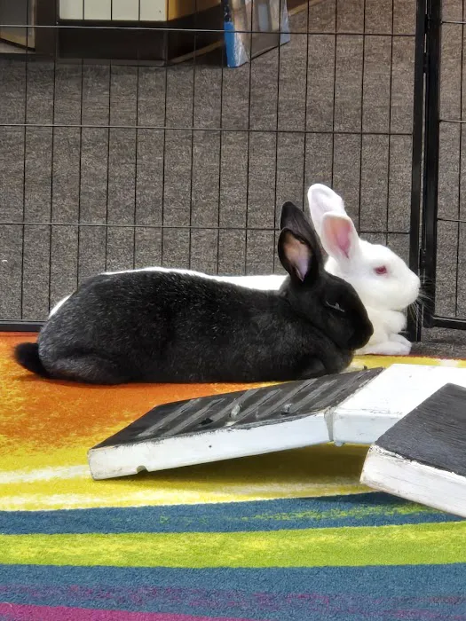 For Pet's Sake Veterinary Center Picture 6
