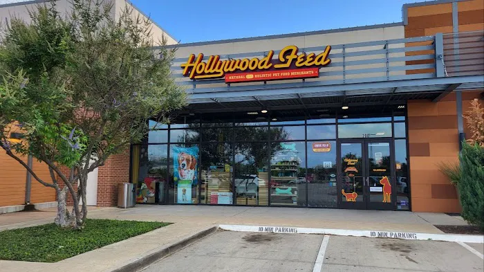 Hollywood Feed Picture 3