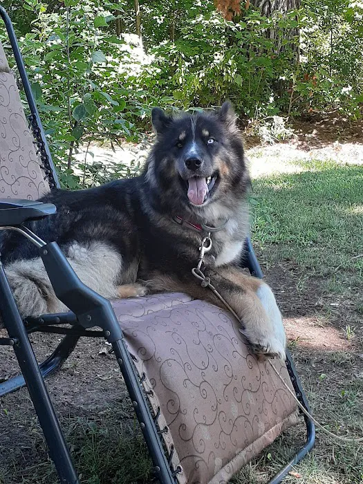Moreau Animal Clinic Picture 8