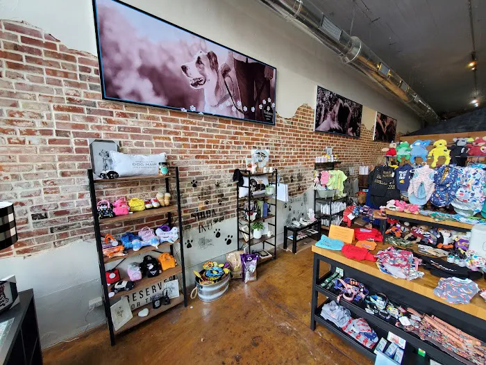 JeTT Pets Club for Dogs - Plano Picture 5